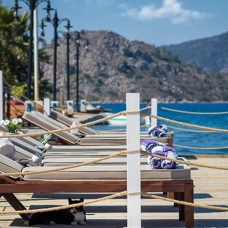 Gasthof Losta Sahil Evi 2 Selimiye (Aegean)