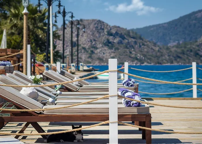 Gasthof Losta Sahil Evi 2 Selimiye (Aegean)