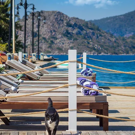 Guest house Losta Sahil Evi 2