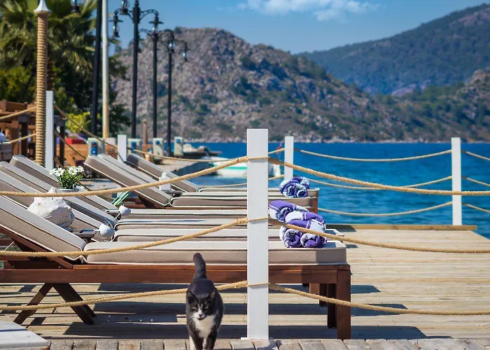 招待所 Losta Sahil Evi 2