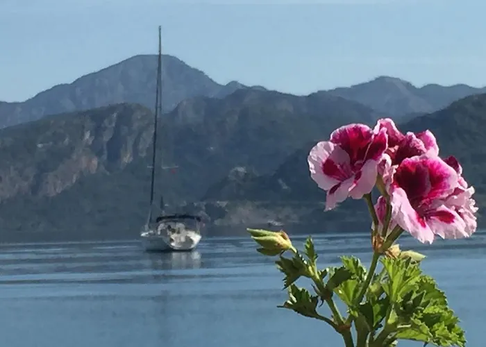 Losta Sahil Evi 2 塞利米耶