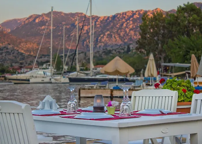 Losta Sahil Evi 2 塞利米耶